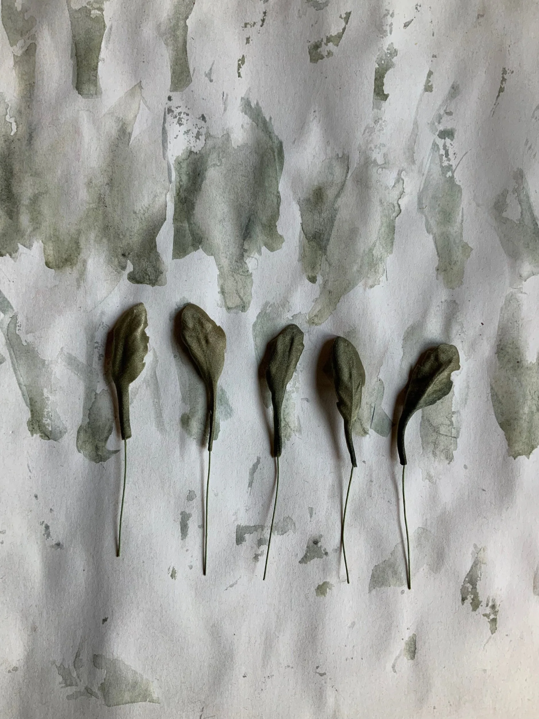 6C5A5023-8A28-4891-80B7-B26BDBA91673