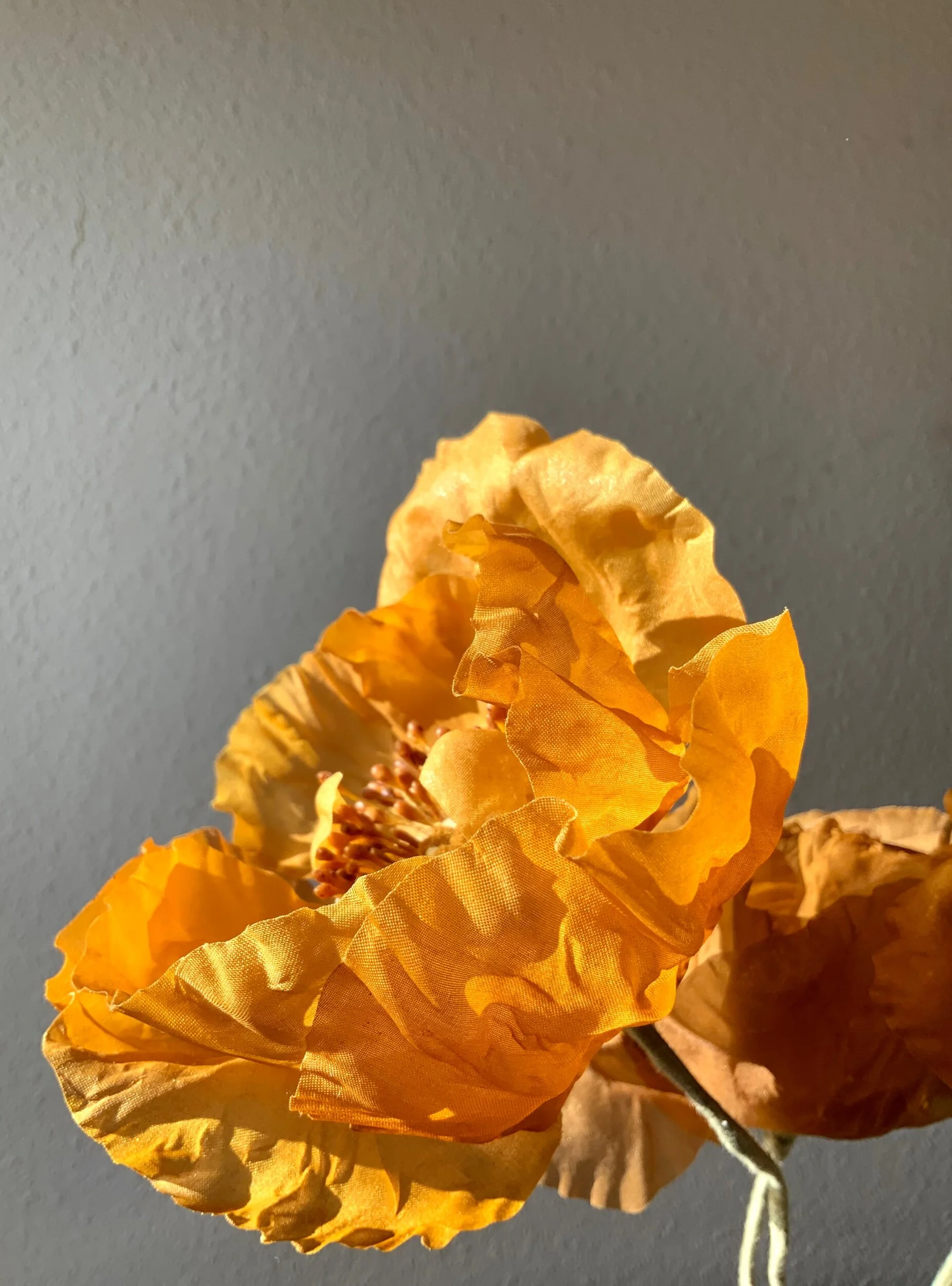 9AAB6A00-093E-4E67-A3B0-172544035665