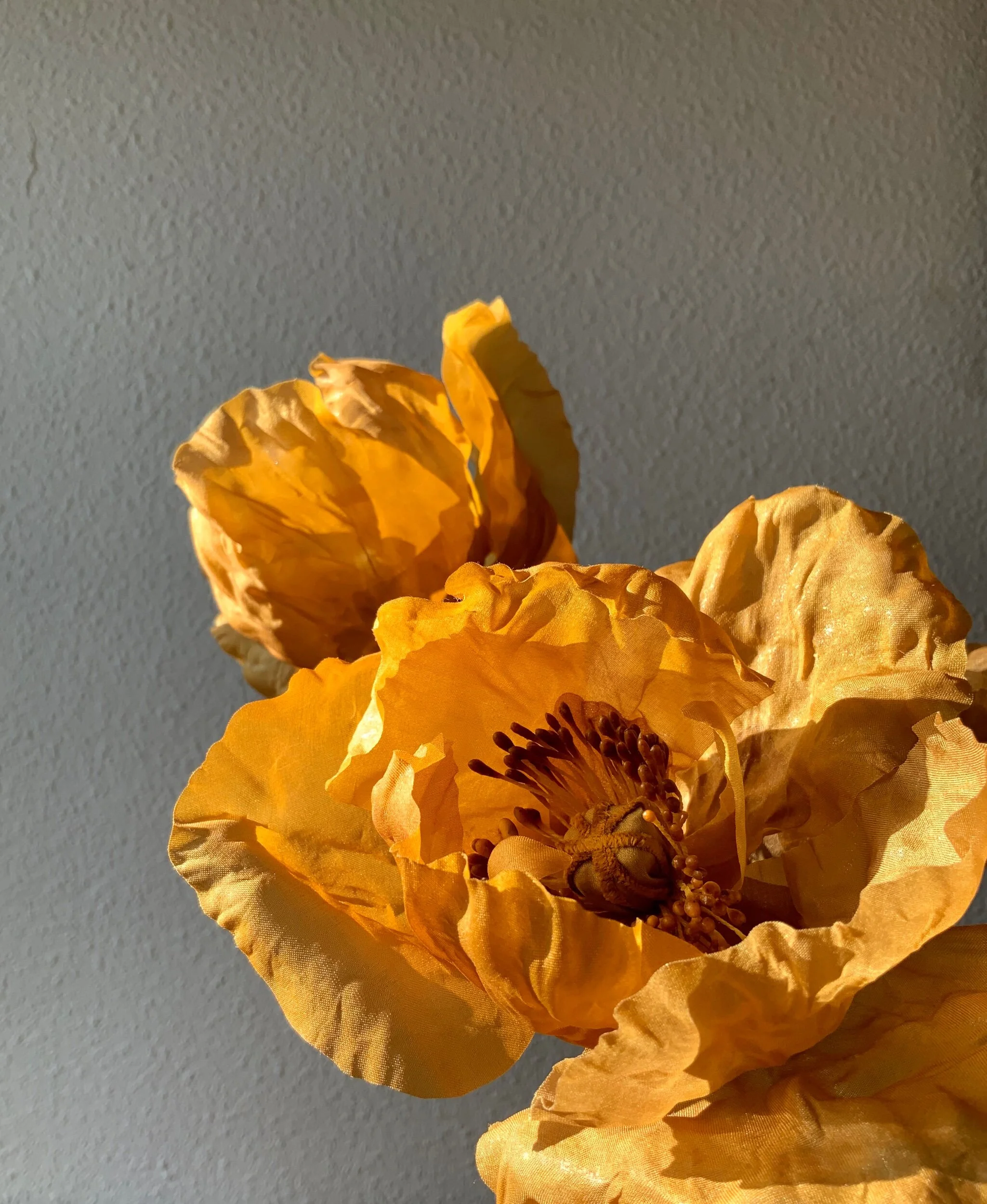 9058E644-2D4D-43E5-8530-048260F40295