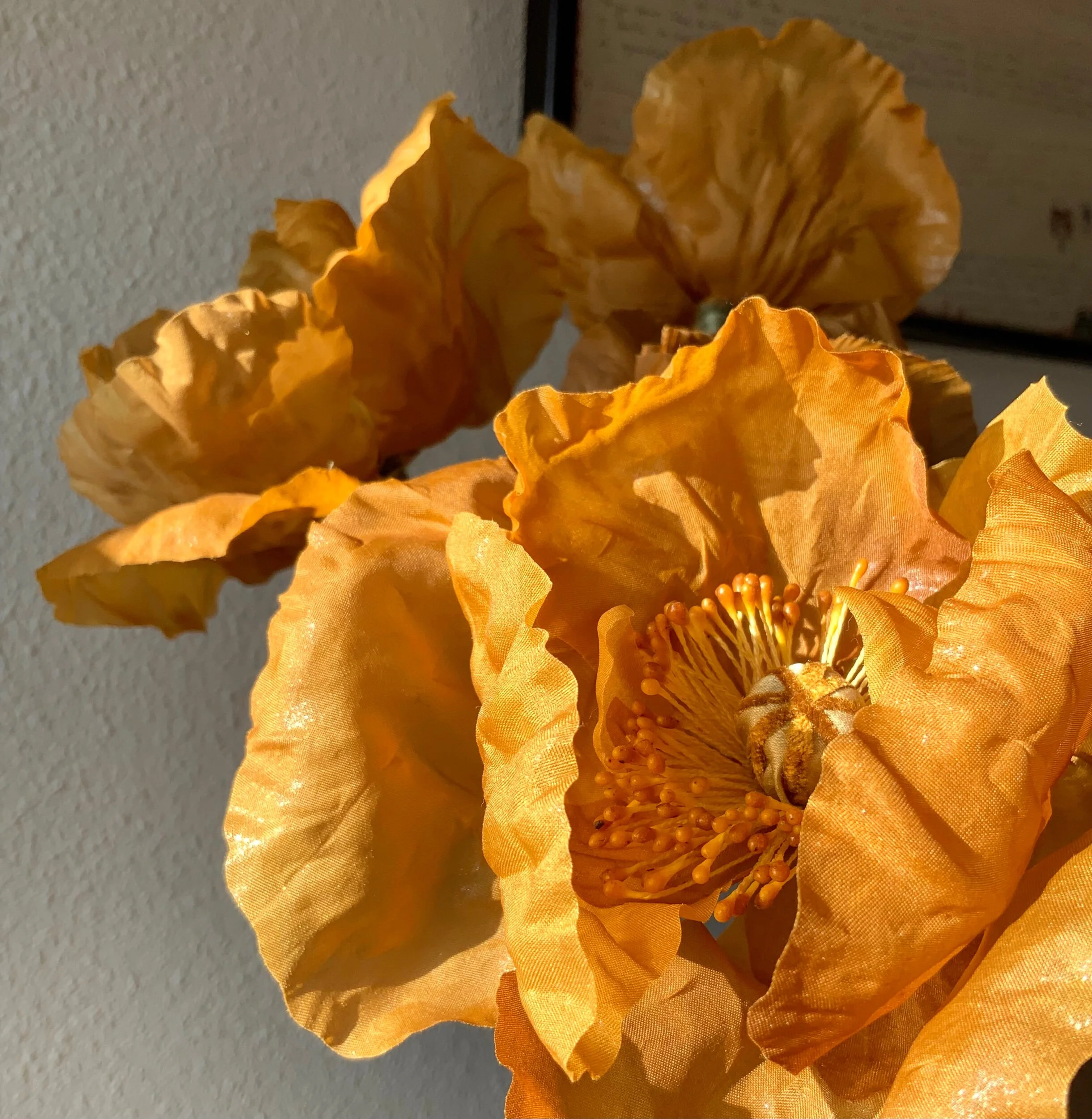 30A628FF-707B-4E93-AA4E-8F5F99C63450