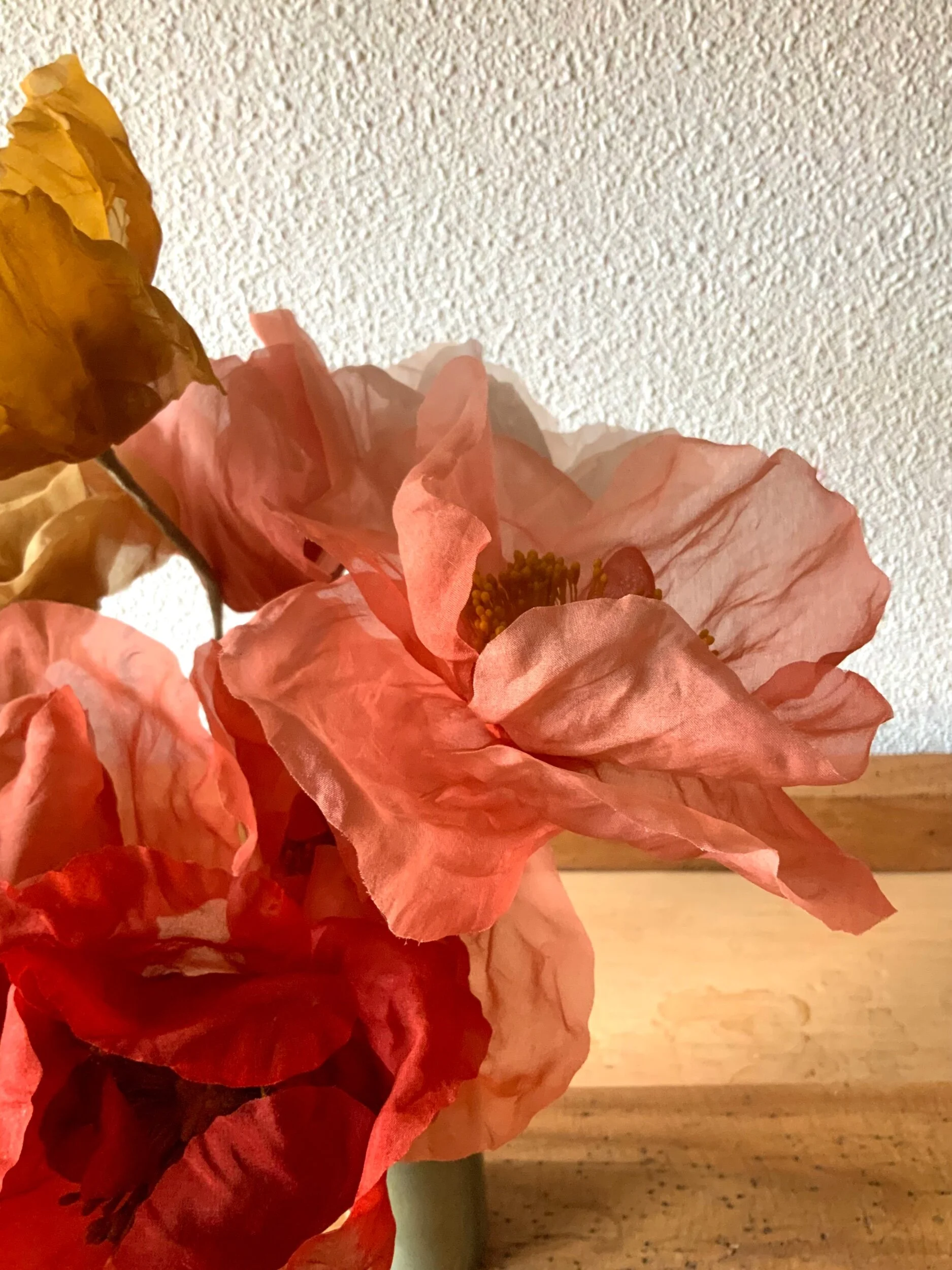 43B80001-7DC3-4C0B-9BF3-C9974552A5F9