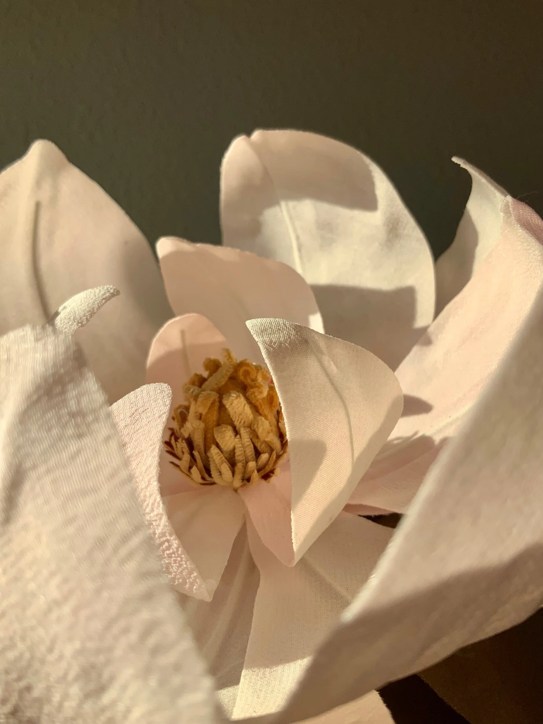 5118FB5C-6C50-4D85-AA33-72858A13C2E1