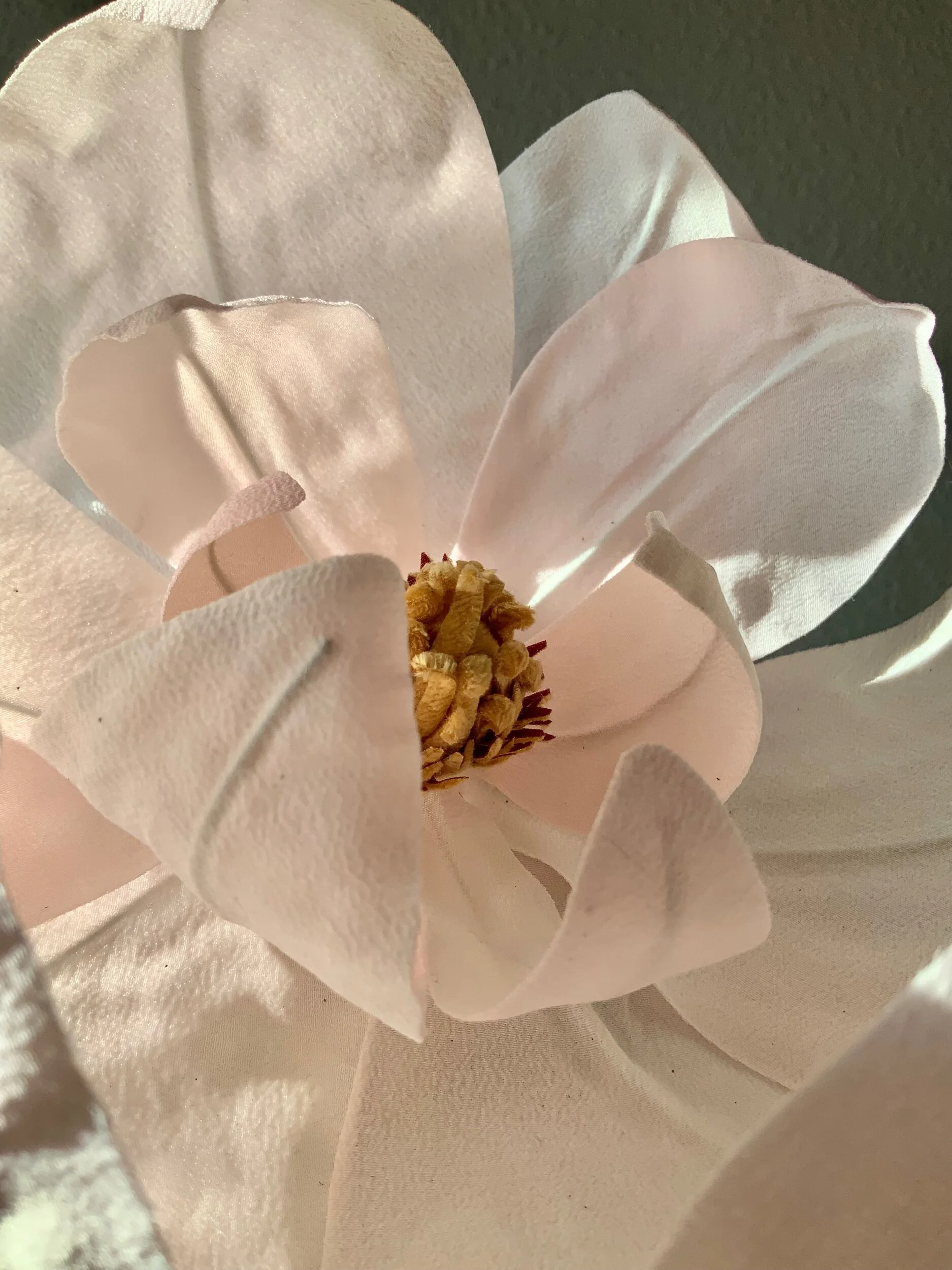 D0F5C950-0295-486F-9A5B-B0F2455A210B