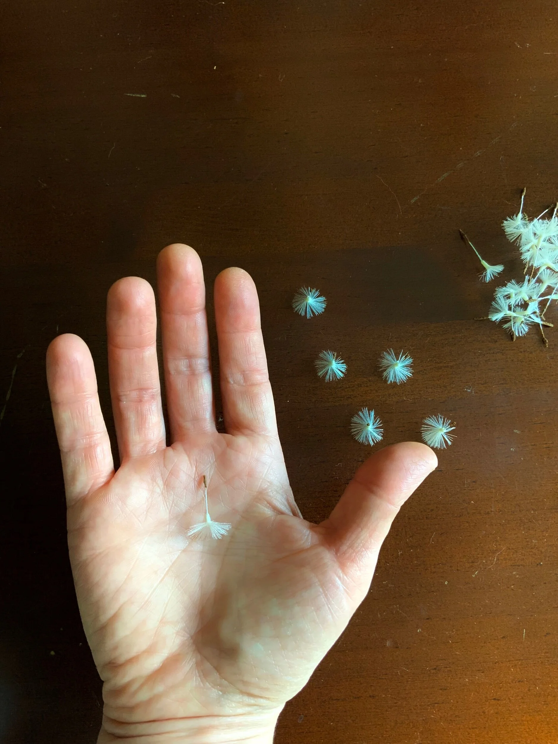 B431CADD-EFAB-417F-A609-7BBFCA1FAEEF