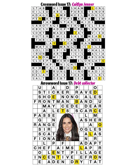 17Puzzles.jpg