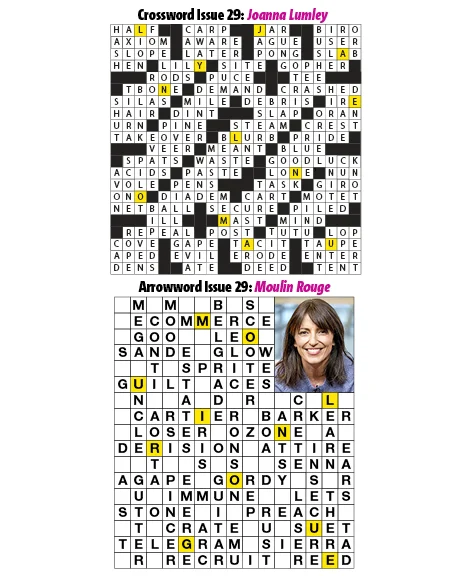 29Puzzles.jpg