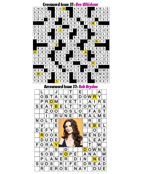 37Puzzles.jpg