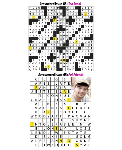 45Puzzles.jpg