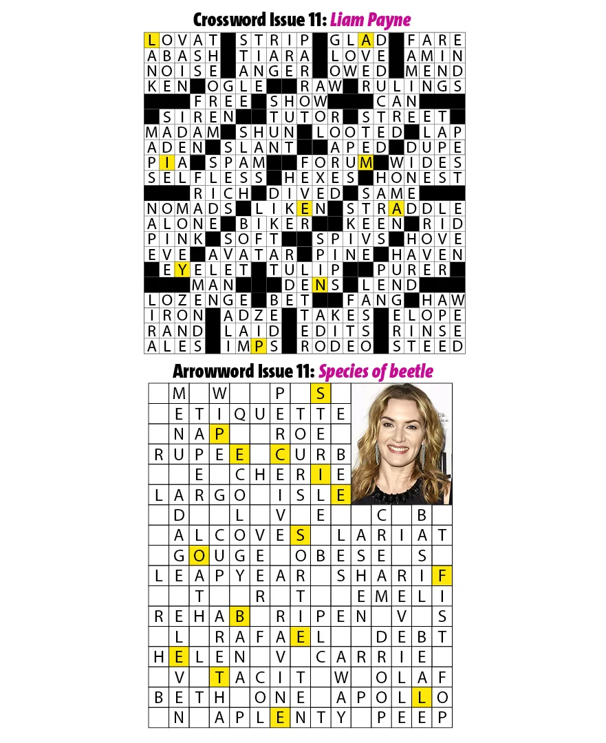 11Puzzles.jpg