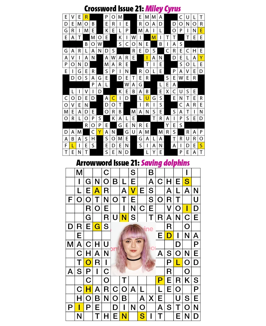 21Puzzles.jpg