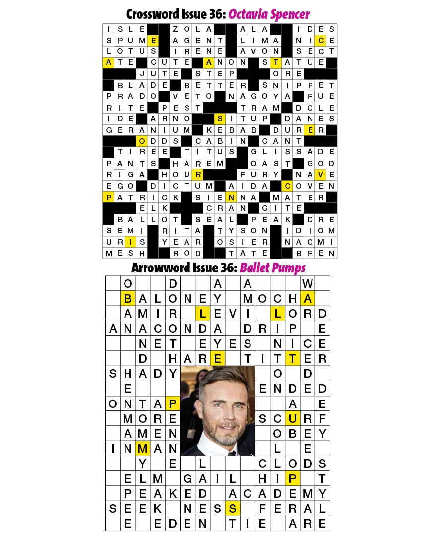 38Puzzles2.jpg