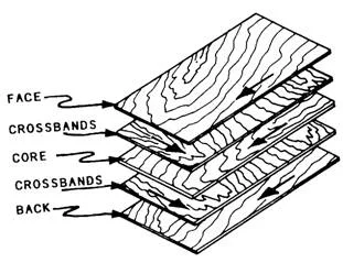 Grain directions via Wood Technology