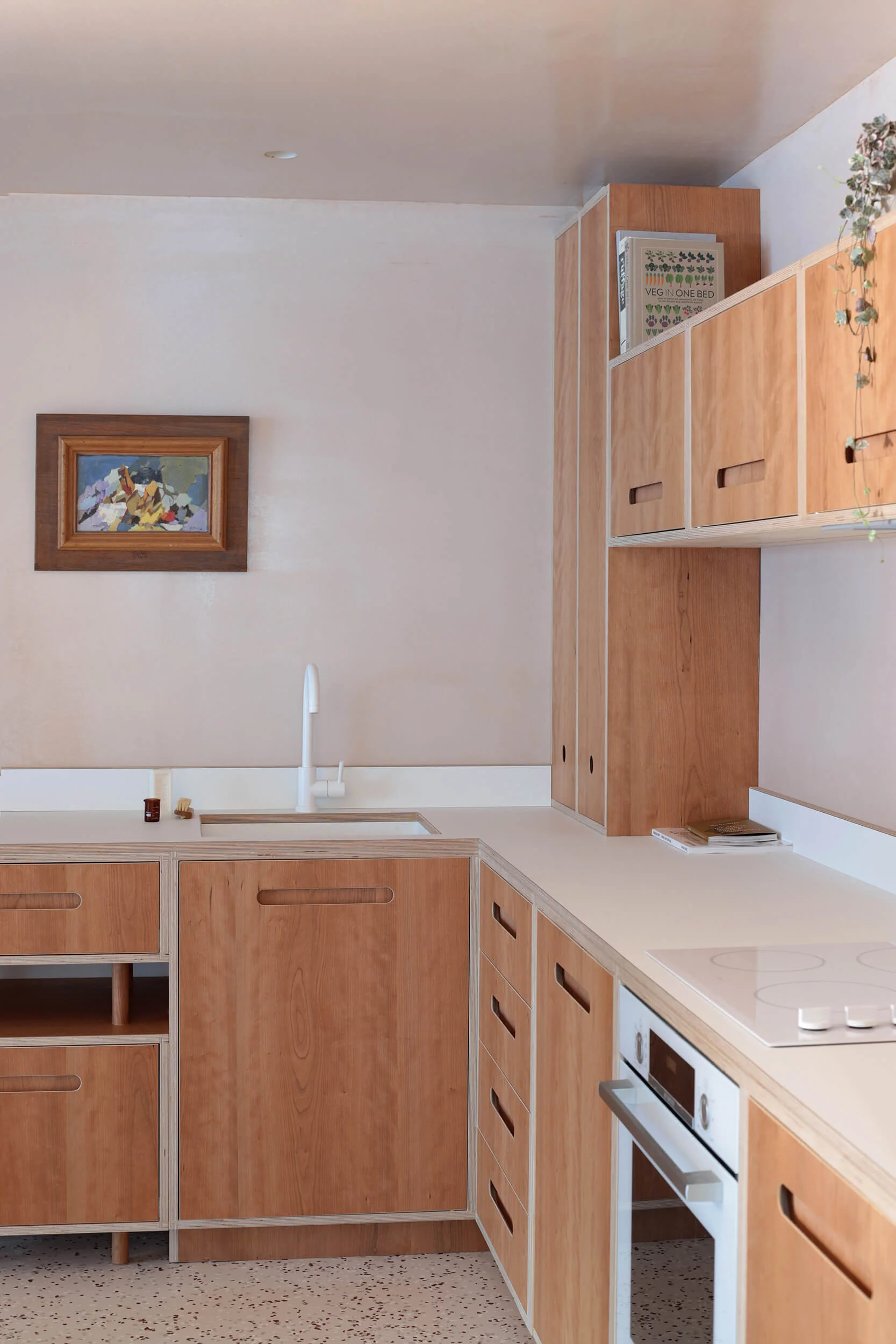 Lozi Bespoke Plywood Furniture Bespoke Kitchens