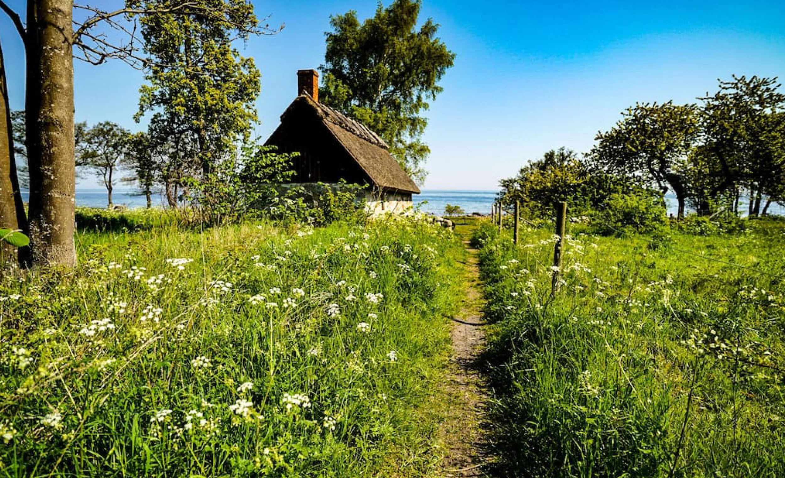 Trip to Sweden20.jpg