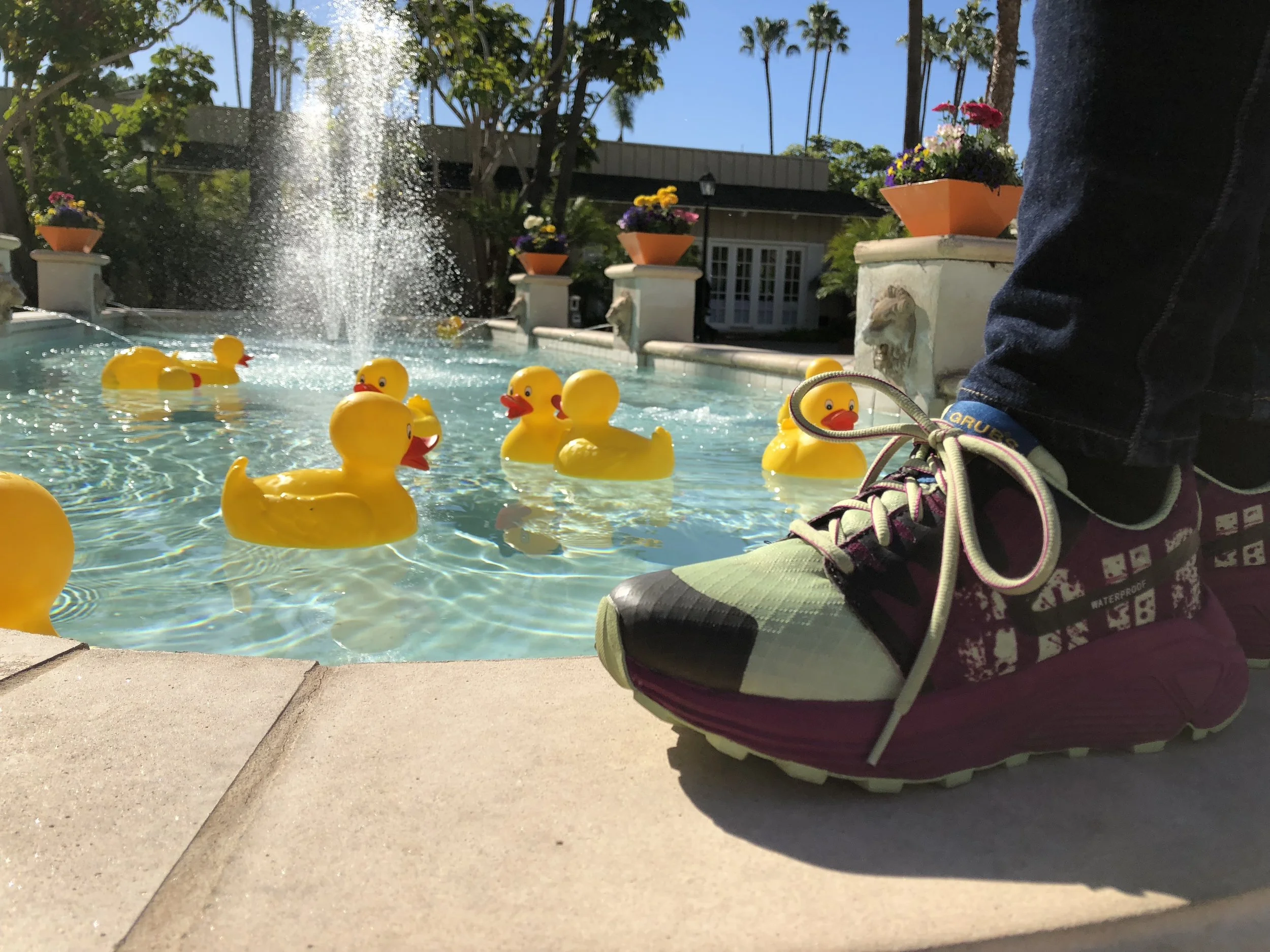 "Who let the ducks out!" Californian relaxed cheeky style.