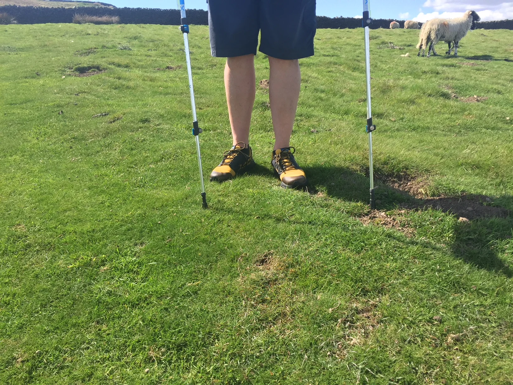 walking.jpg