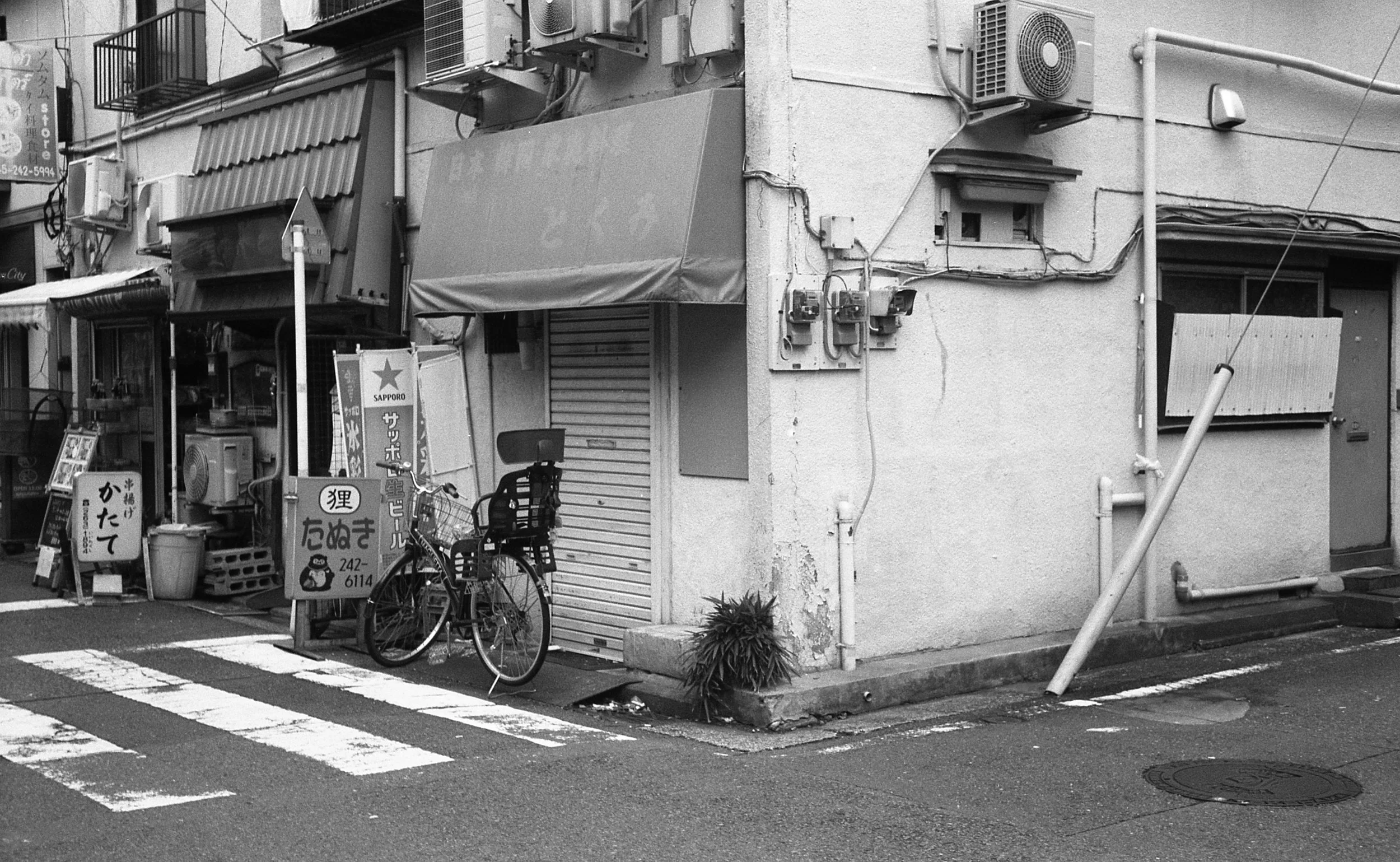 seagull_rollei_huji074.jpg