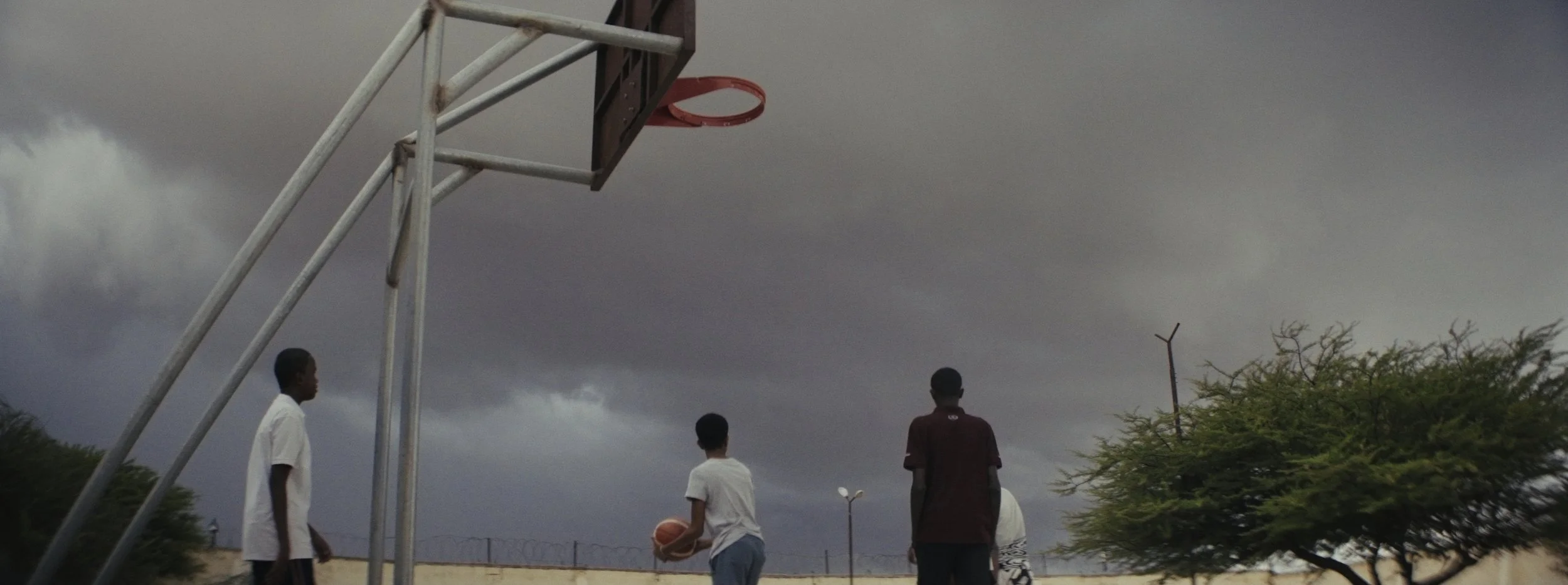 Still 2026-03-03 102541_1.5.1.jpg