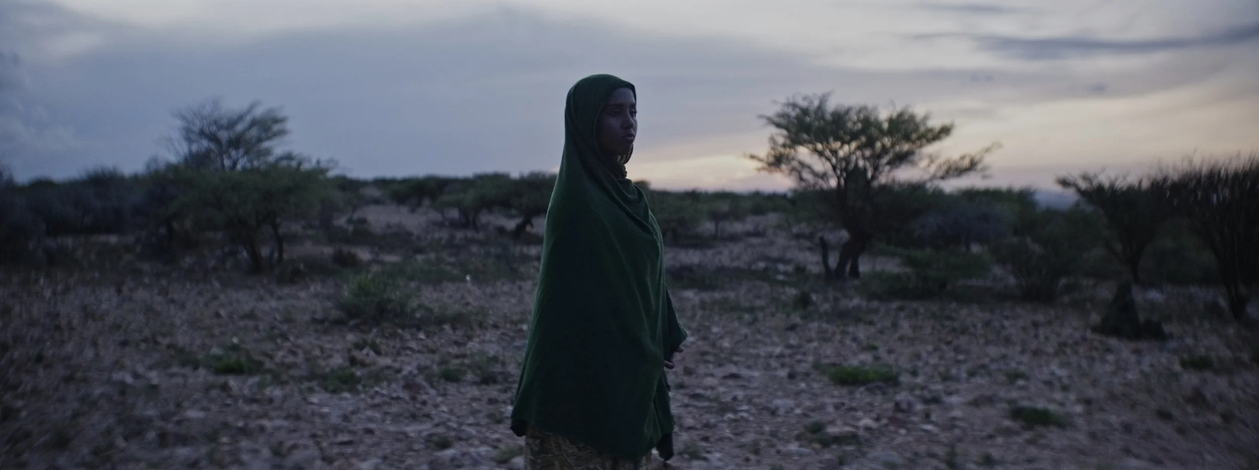 Still 2026-03-03 102541_1.7.1.jpg