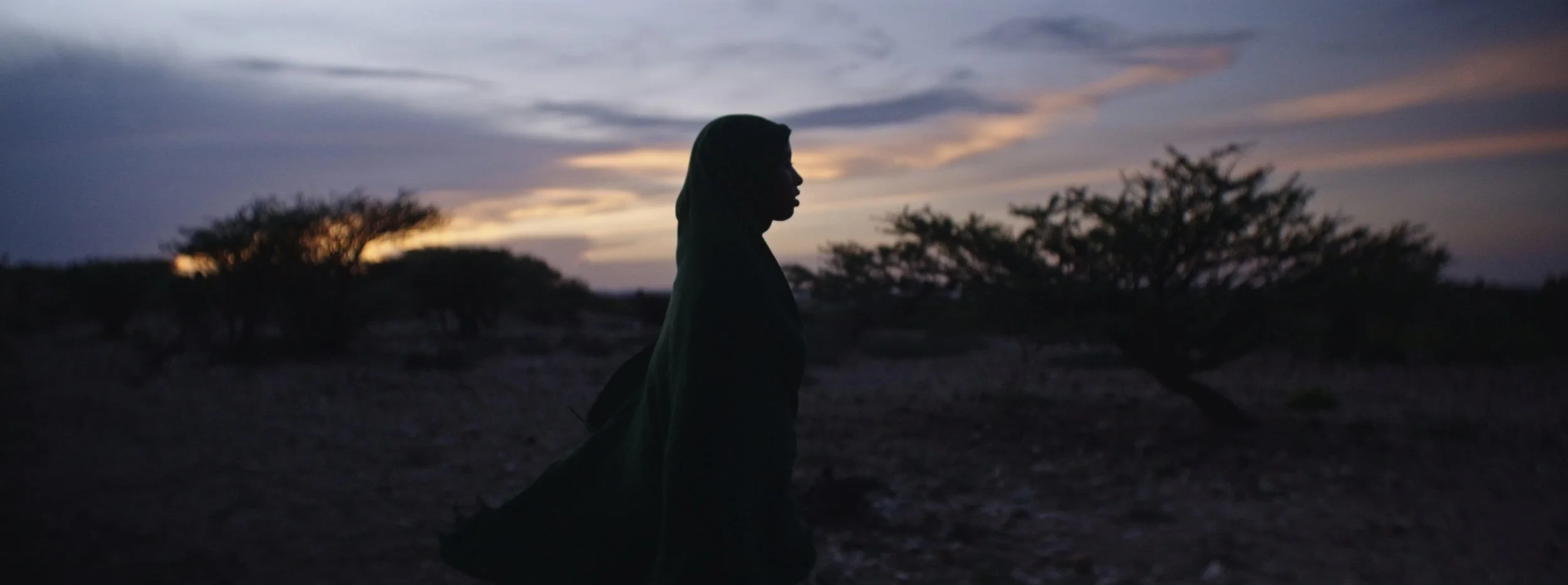 Still 2026-03-03 102541_1.8.1.jpg