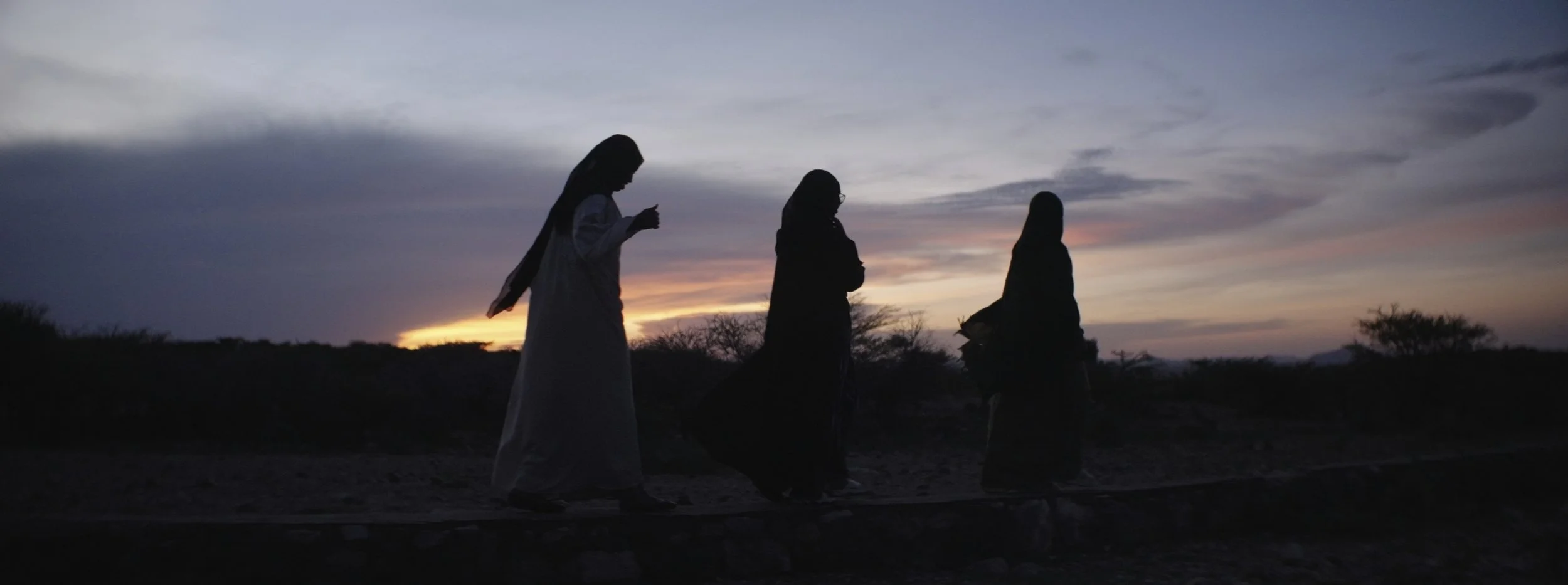 Still 2026-03-03 102541_1.9.1.jpg