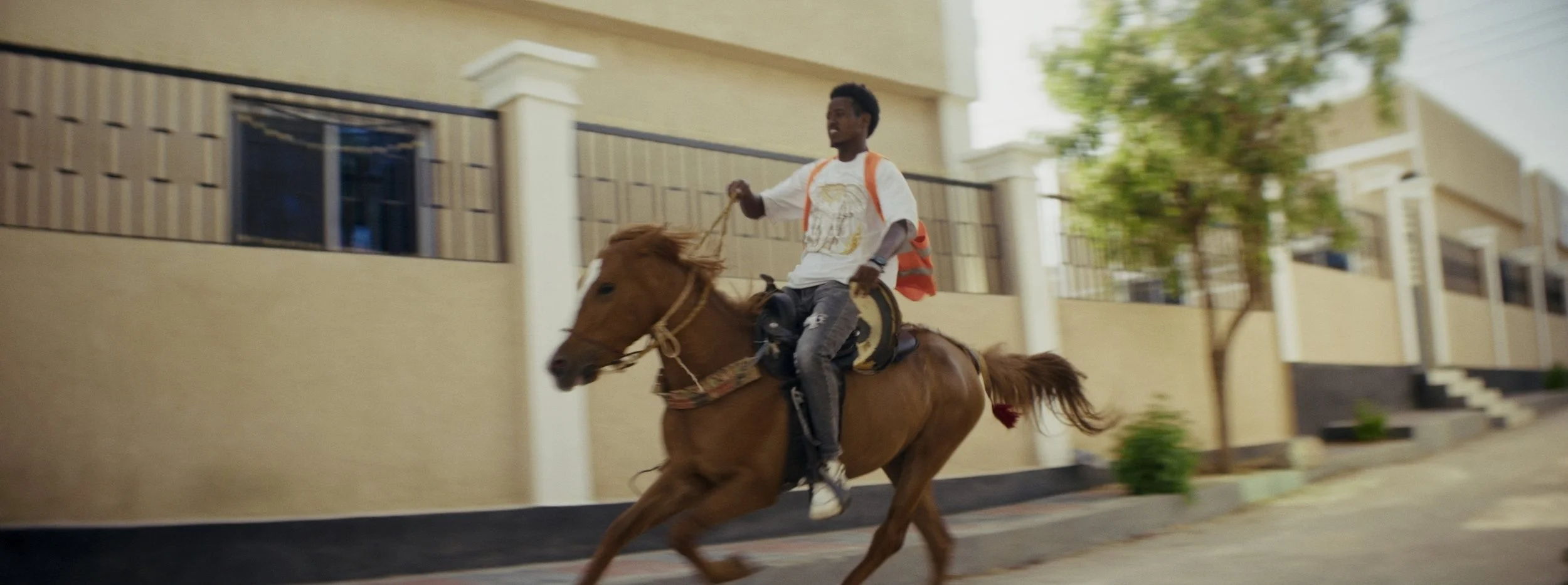 Still 2026-03-03 102541_1.11.1.jpg