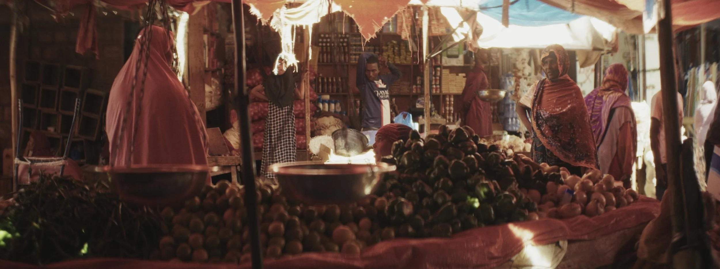 Still 2026-03-03 102541_1.17.1.jpg