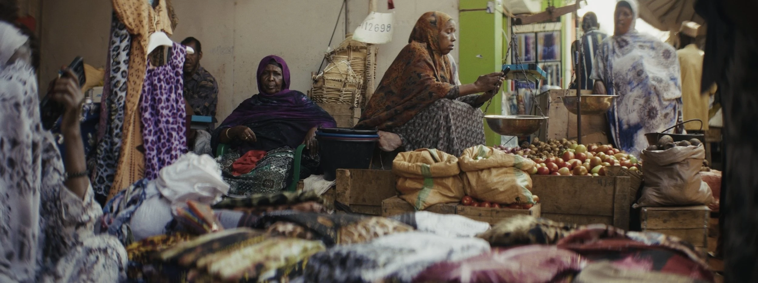 Still 2026-03-03 102541_1.19.1.jpg