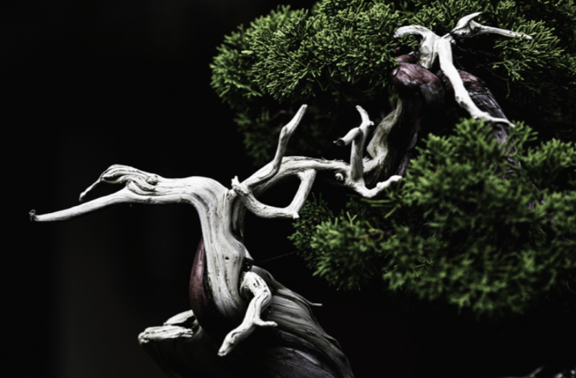 Screen Shot 2018-11-13 at 11.04.51.png