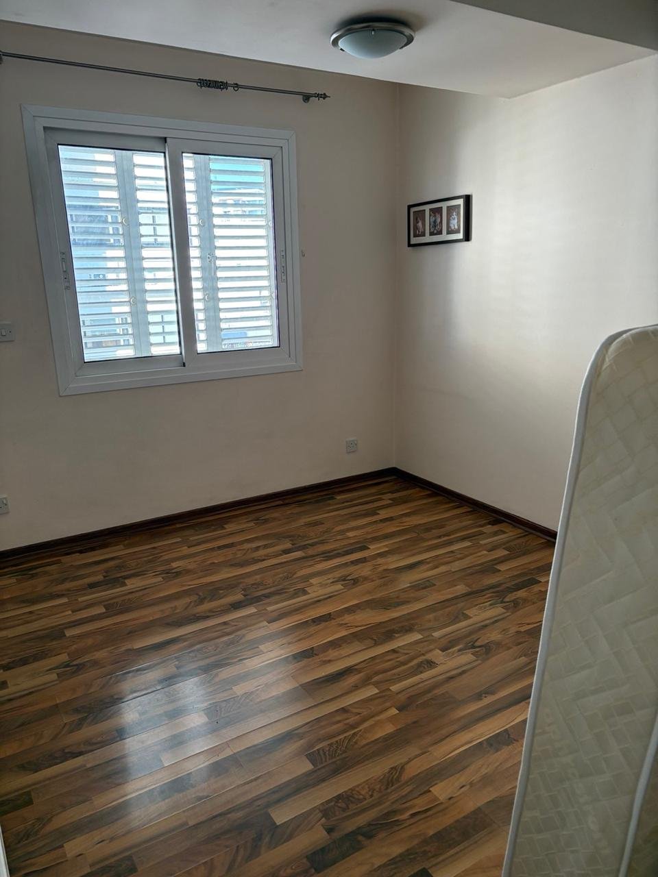 WhatsApp Image 2025-04-09 at 09.26.15.jpeg