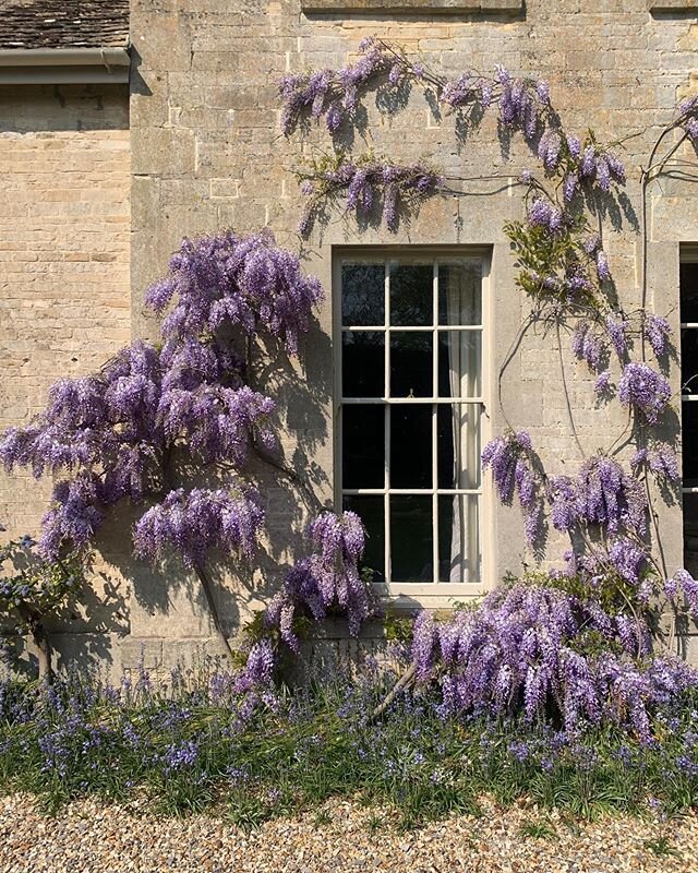 We are missing everyone on this stunning morning. Hoping to welcome you all back at the beginning of July 🤞🏼🤞🏼 #justalittlebitlonger #patienceisavirtue
