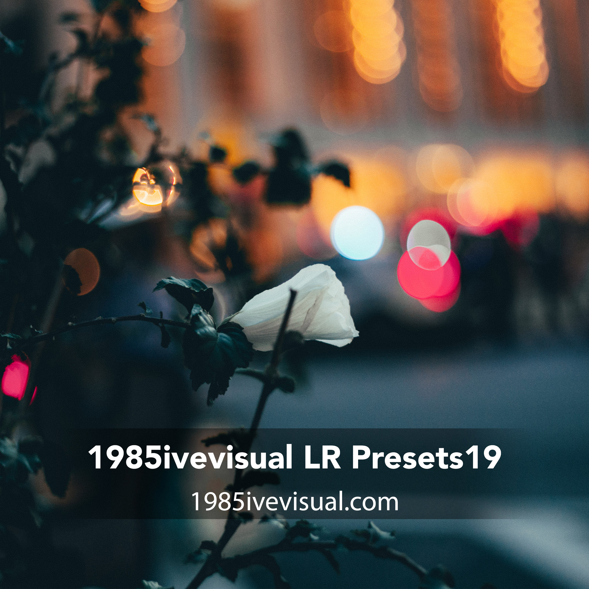 1985ivevisual LR Presets 19'