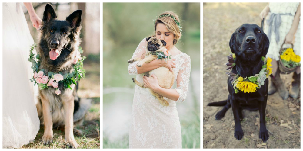 Left: Ben Q Photography on BRIDES | Centre: Charli Photorgaphy on Rock My Wedding | Right: via Deer Pearl Flowers