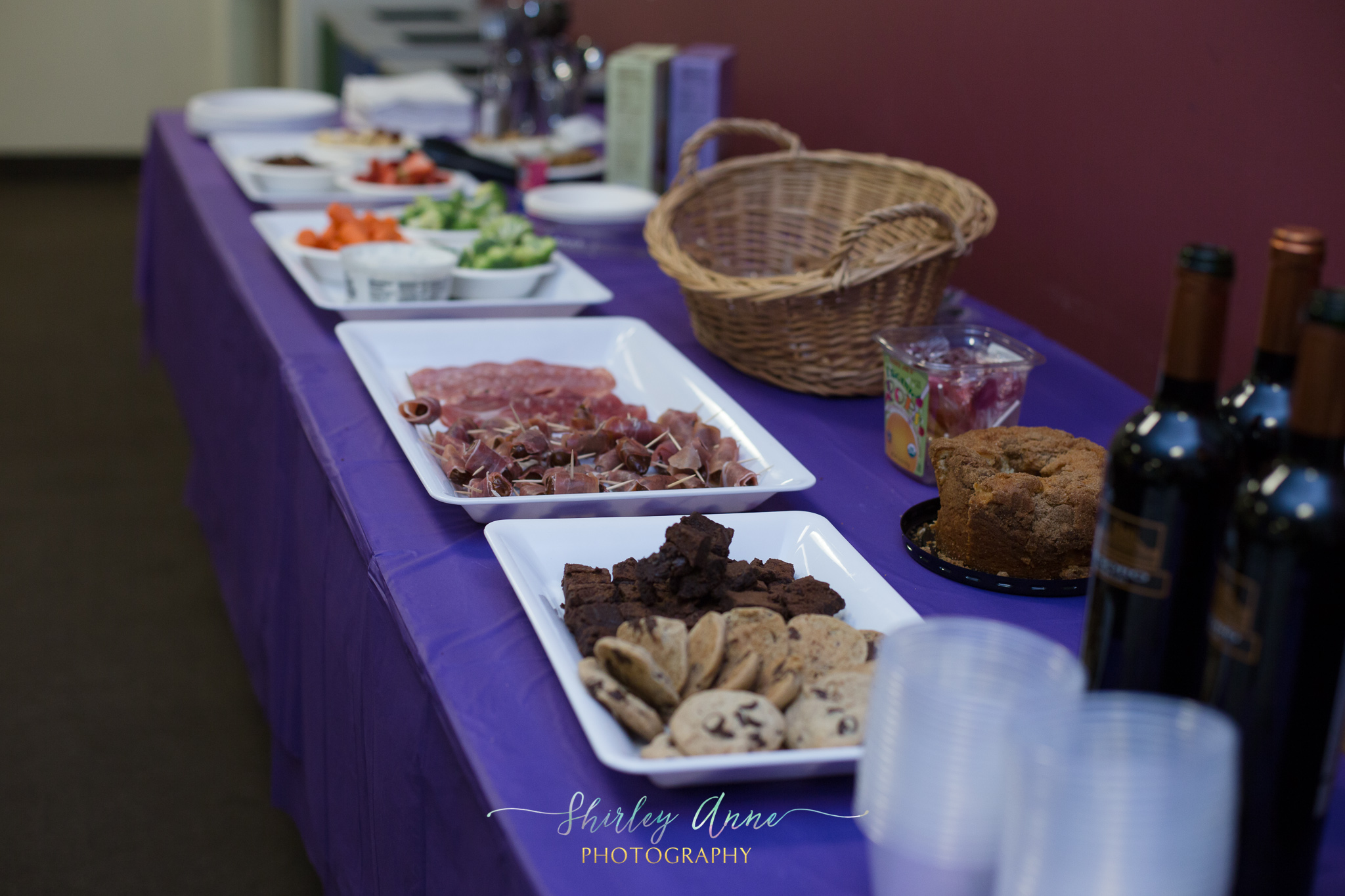 Birth Professionals-Event (3 of 56).jpg
