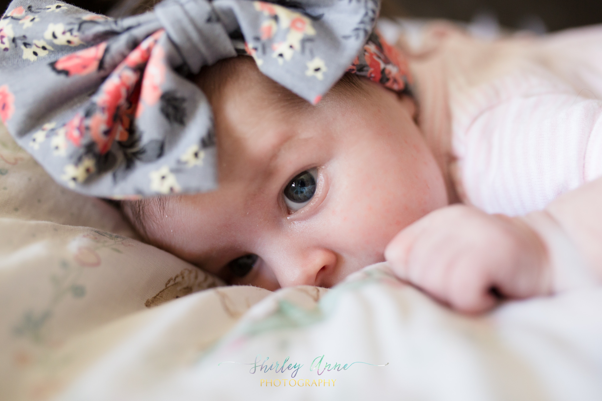 Alyson-Newborn-Web (20 of 25).jpg