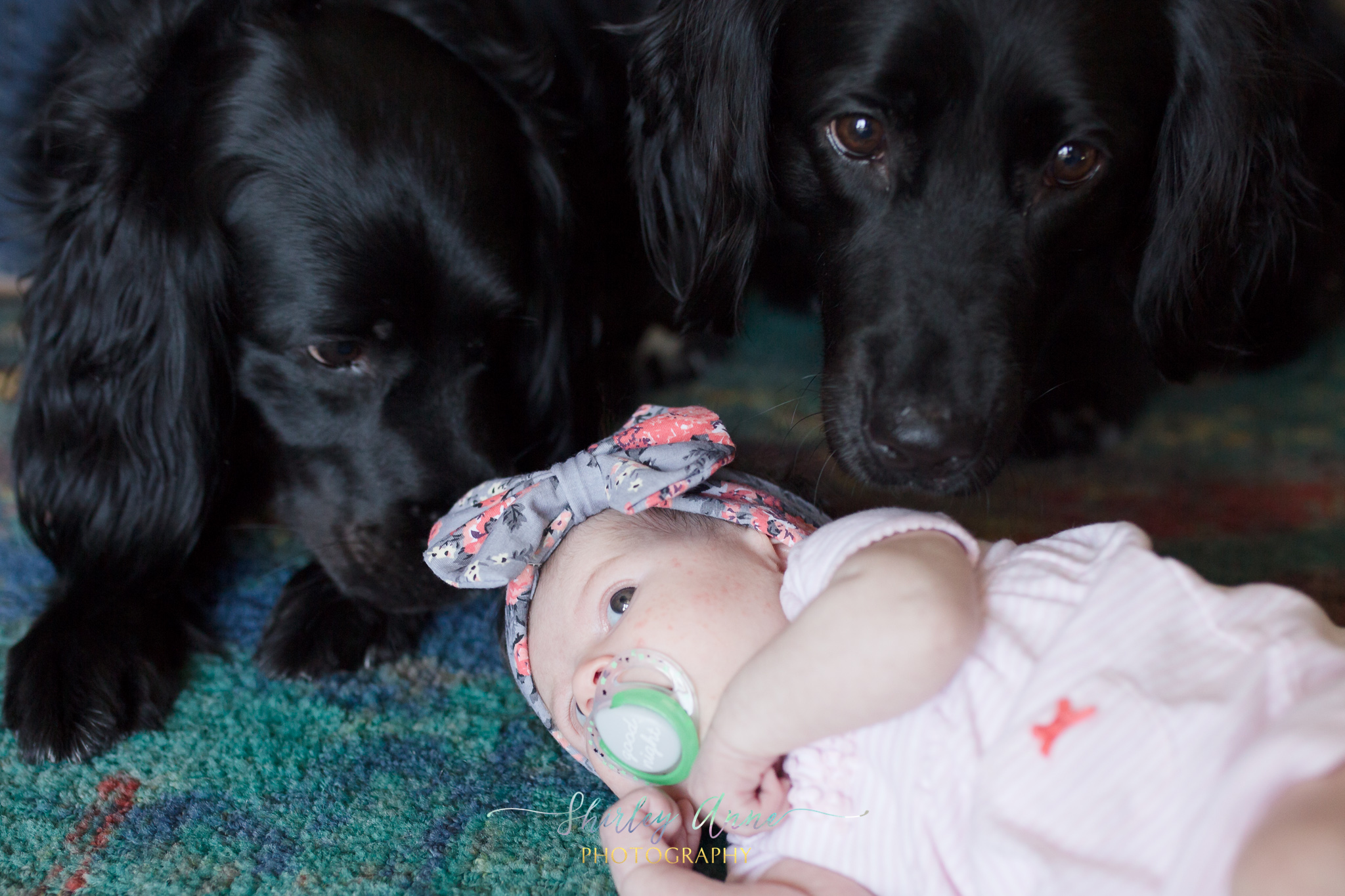 Alyson-Newborn-Web (18 of 25).jpg
