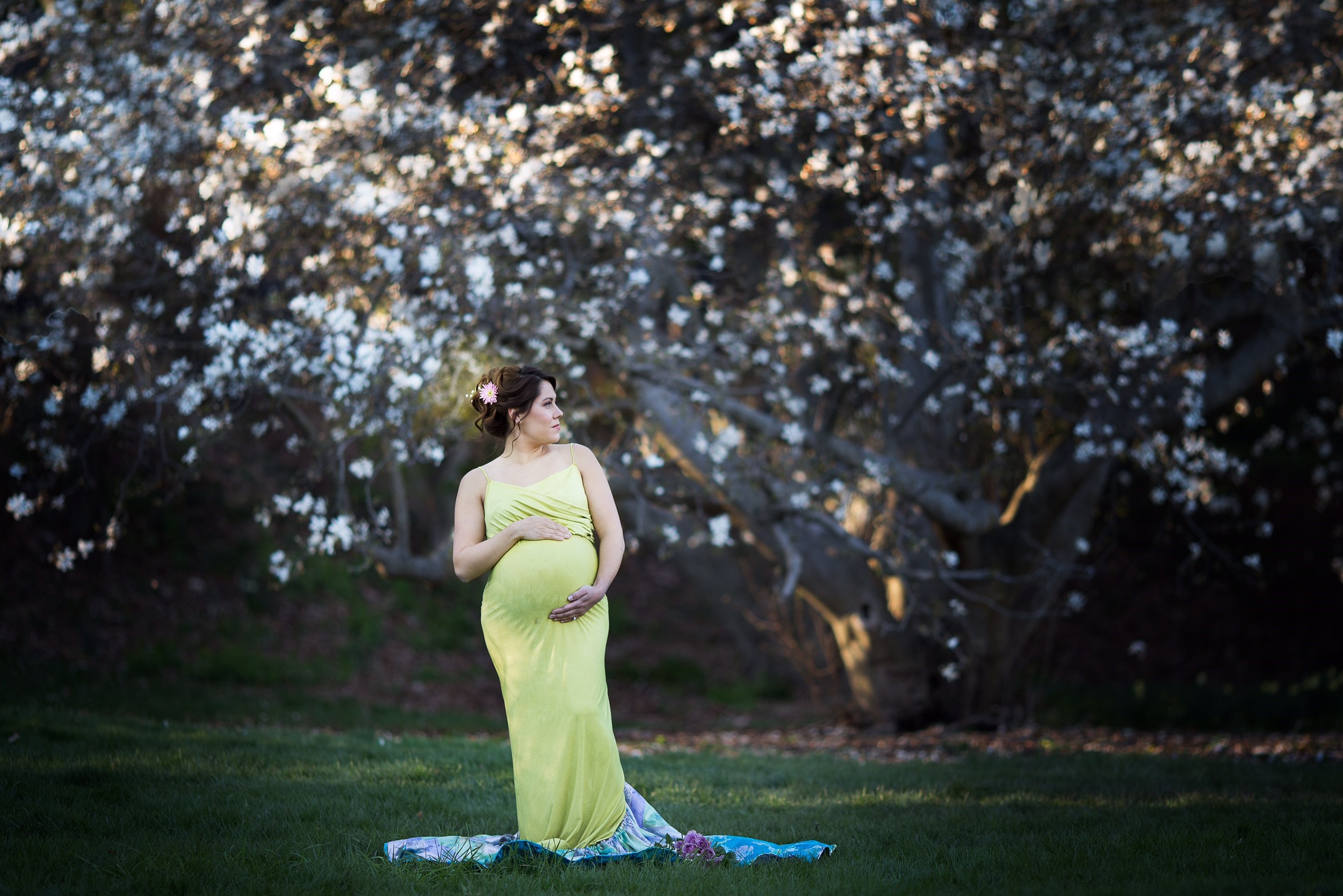 maternity shoot 12.jpg
