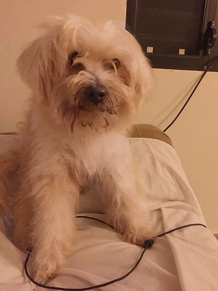 Bye Buby! You will be in our hearts forever!