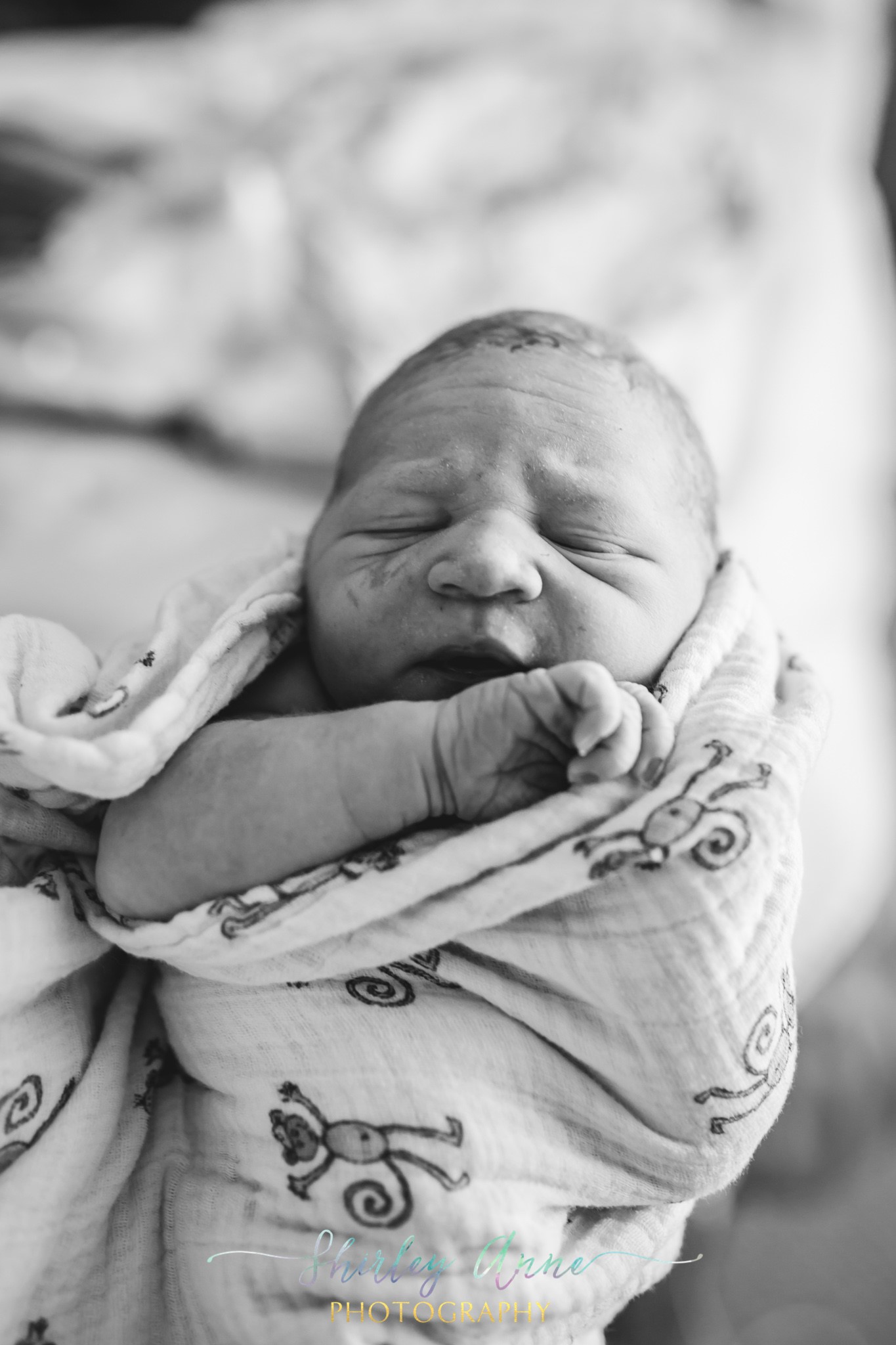 sap-birth story 3.jpg