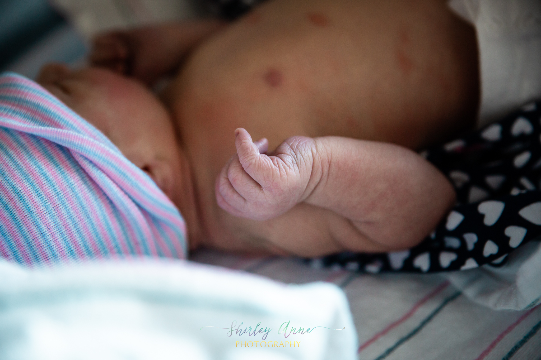 mount auburn birth photography