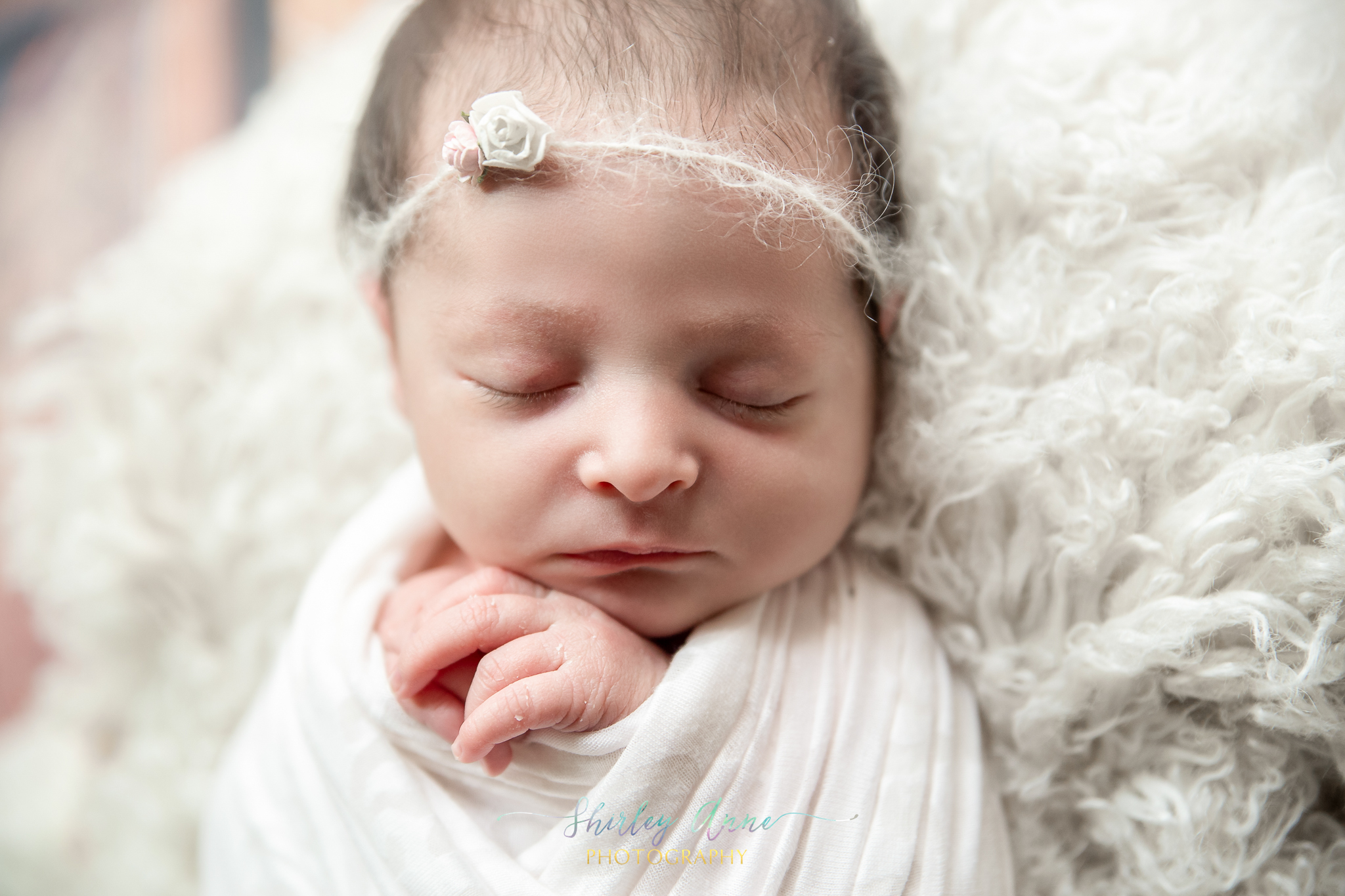newborn posed photography in home studio boston ma
