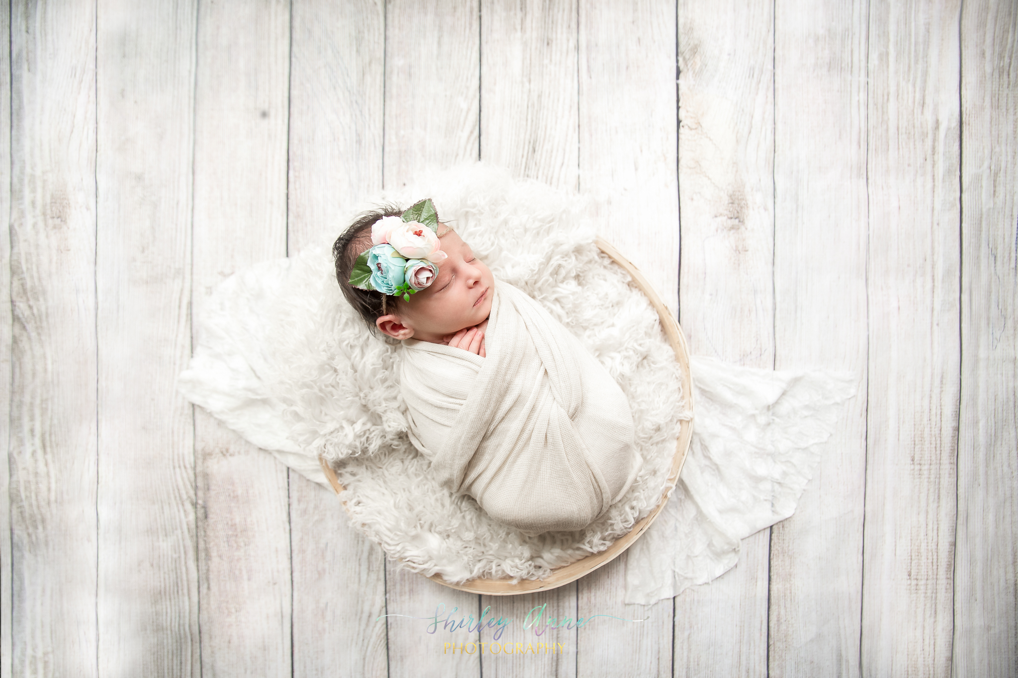 newborn session in home posed photographer