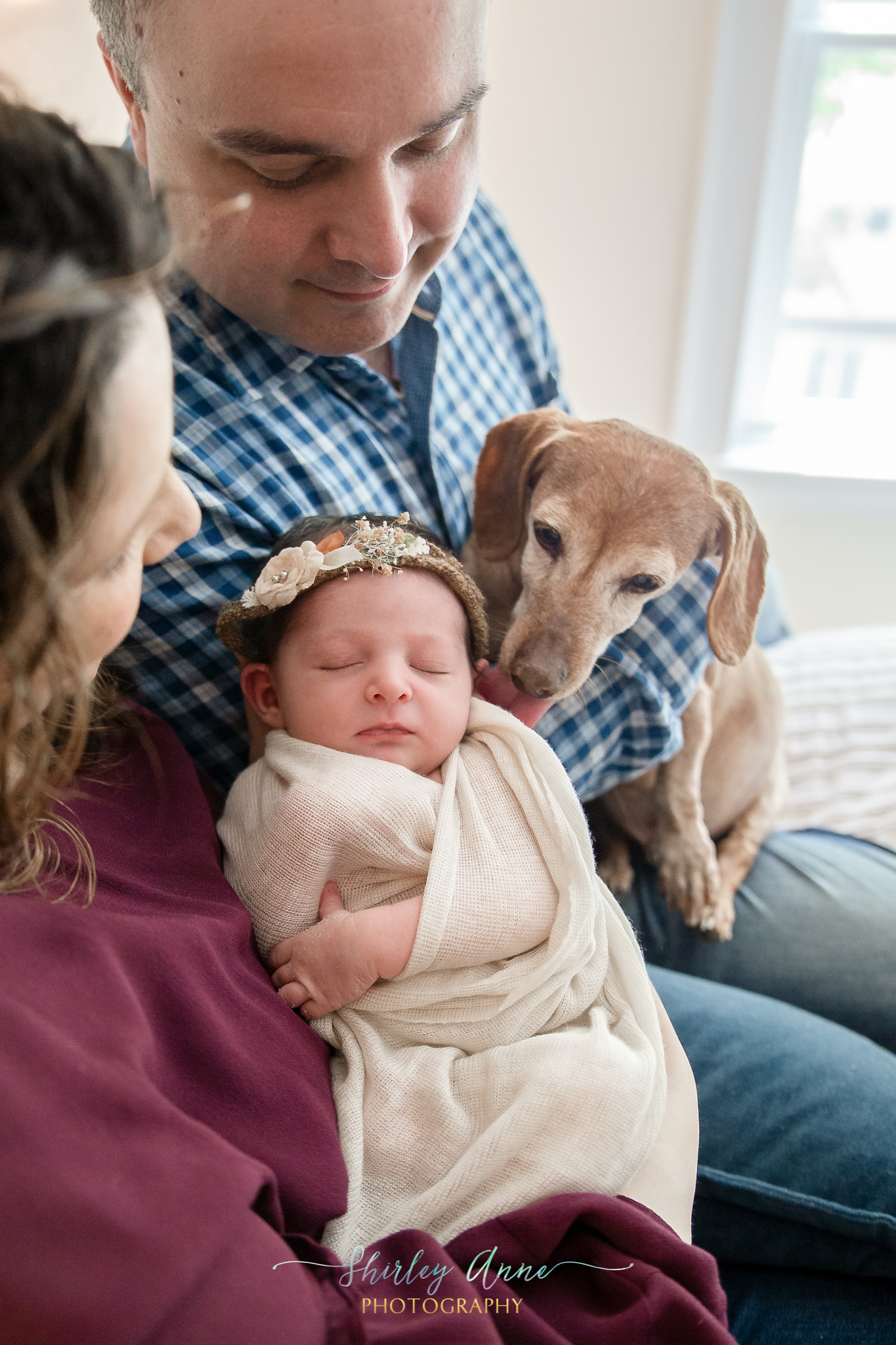 newborn photography family and pet in house needham