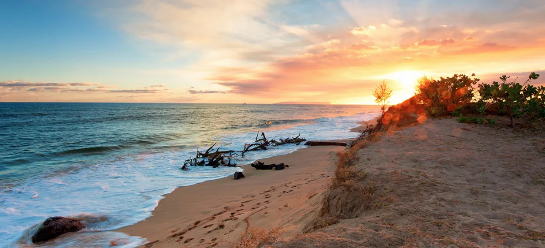 Google ChromeScreenSnapz117.jpg