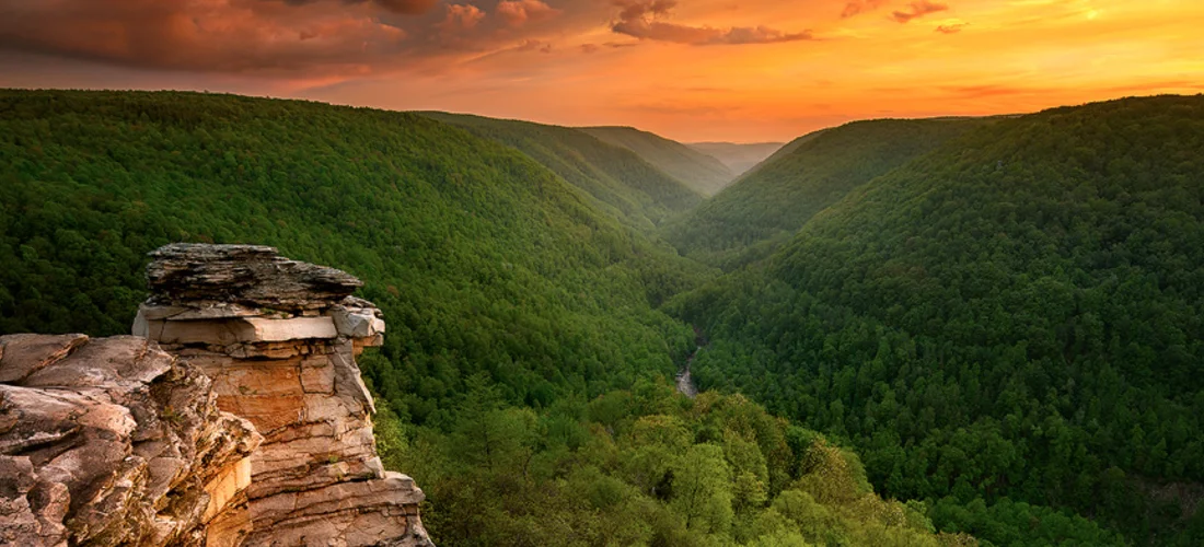 Google ChromeScreenSnapz118.jpg