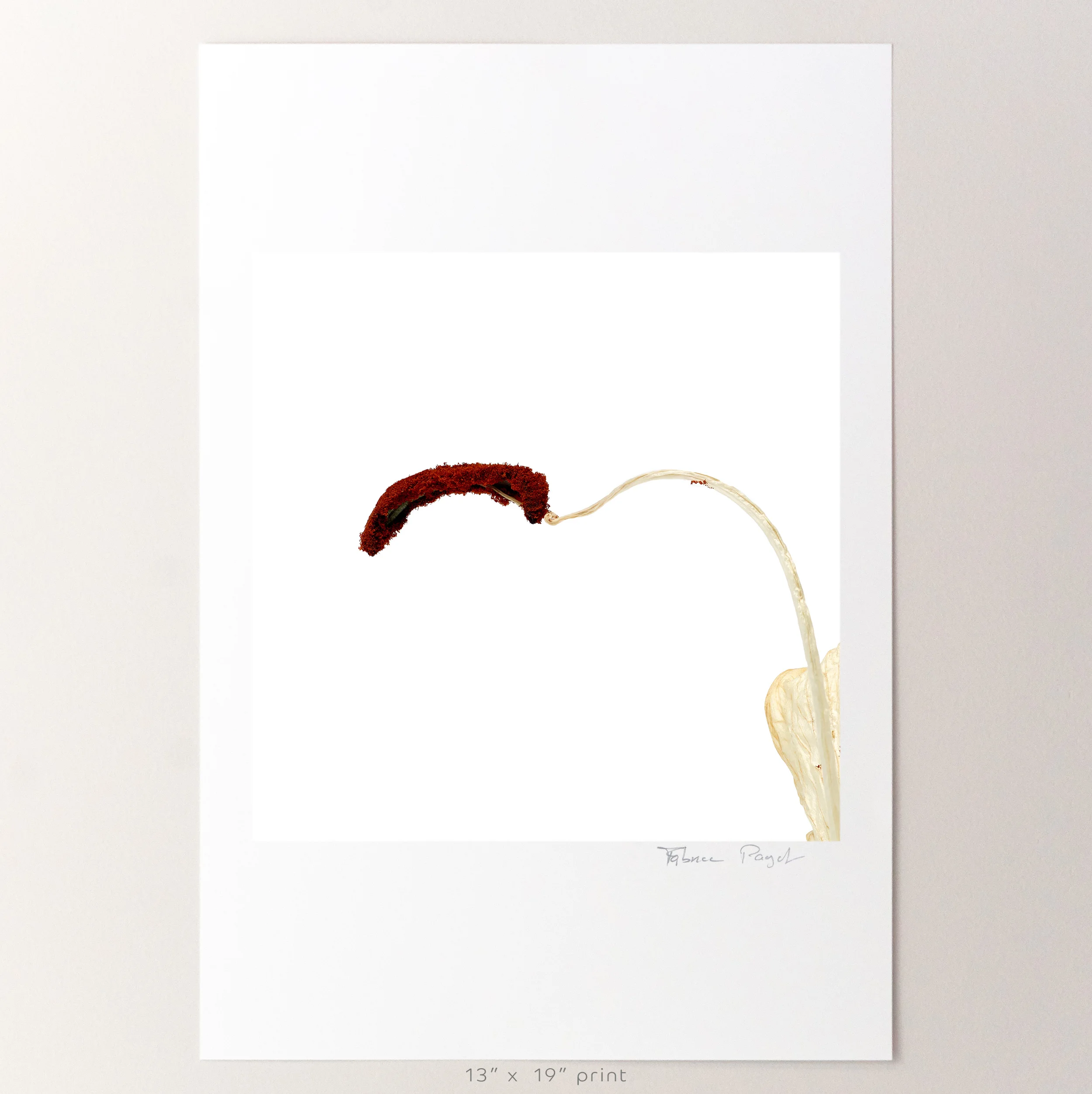13x19-Print-Mock-Ups-Stigma.jpg