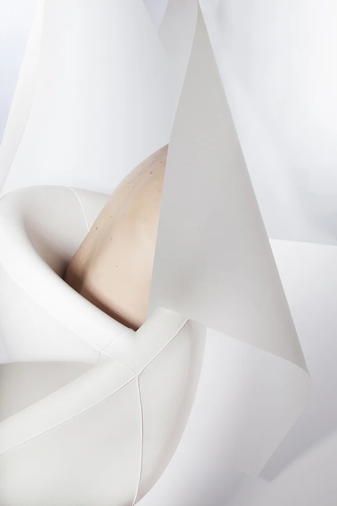 Patricia Voulgaris</br><i>Conch</i>, 2016