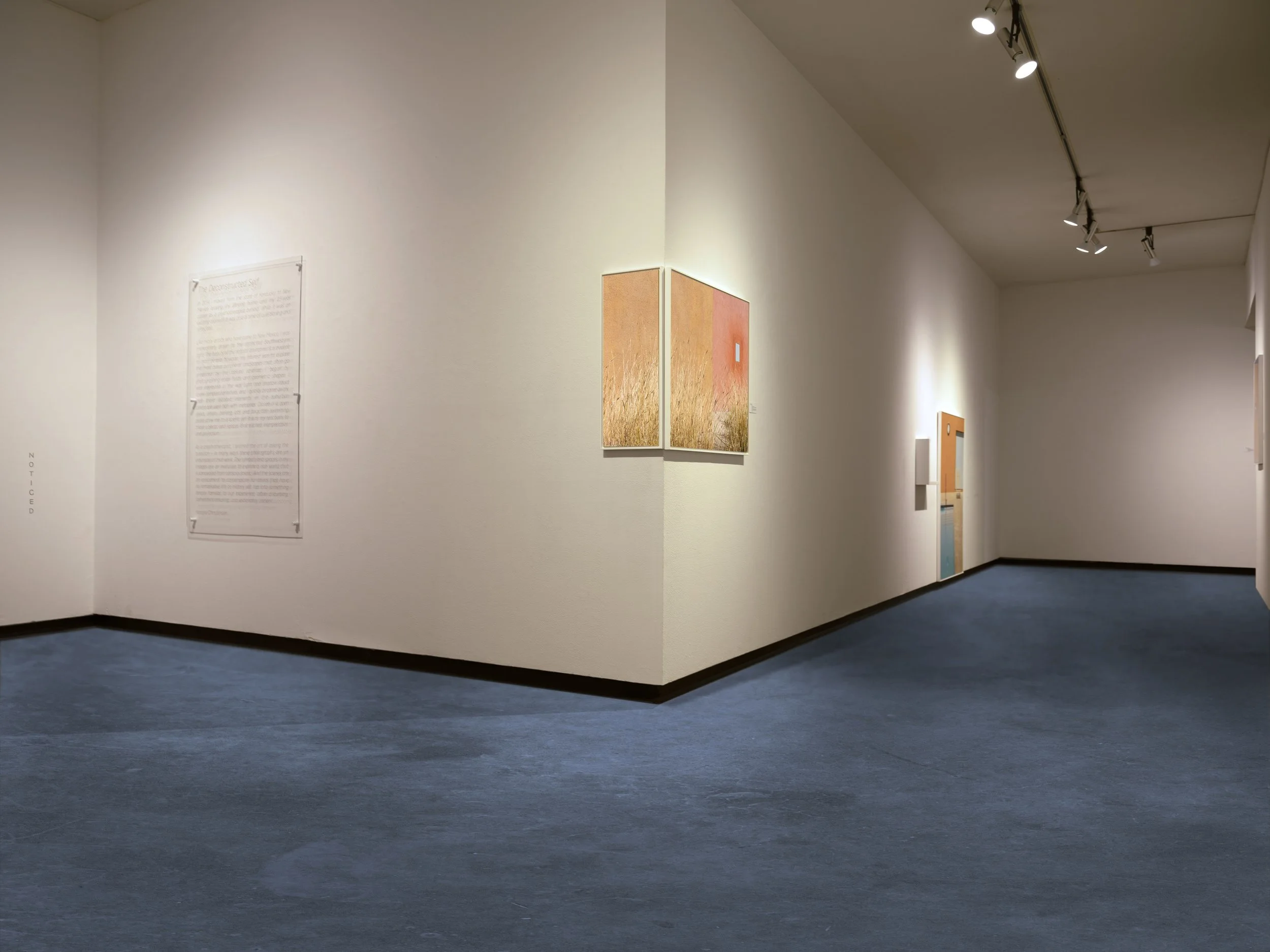 The Deconstructed Self, Solo Exhibition. Fort Worth Community Arts Center, 2021