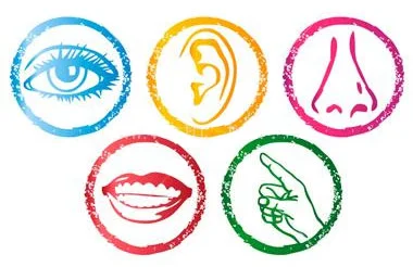 5-Senses