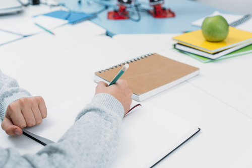 Related Services Authorizations: Separate, Unequal